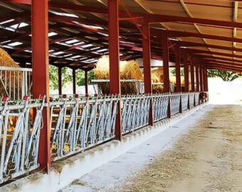 Construction Metallique